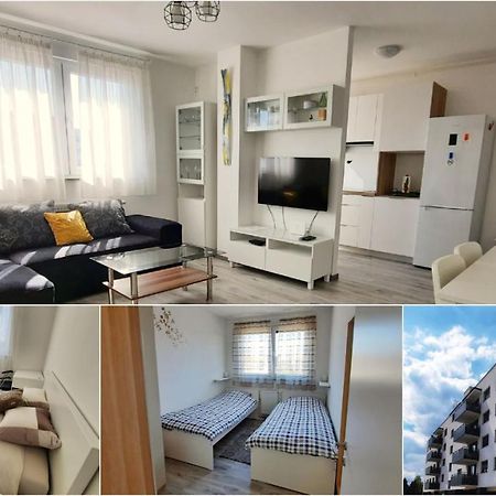 Apartment Mrvica Near The Zagreb Airport Велика-Горица Экстерьер фото